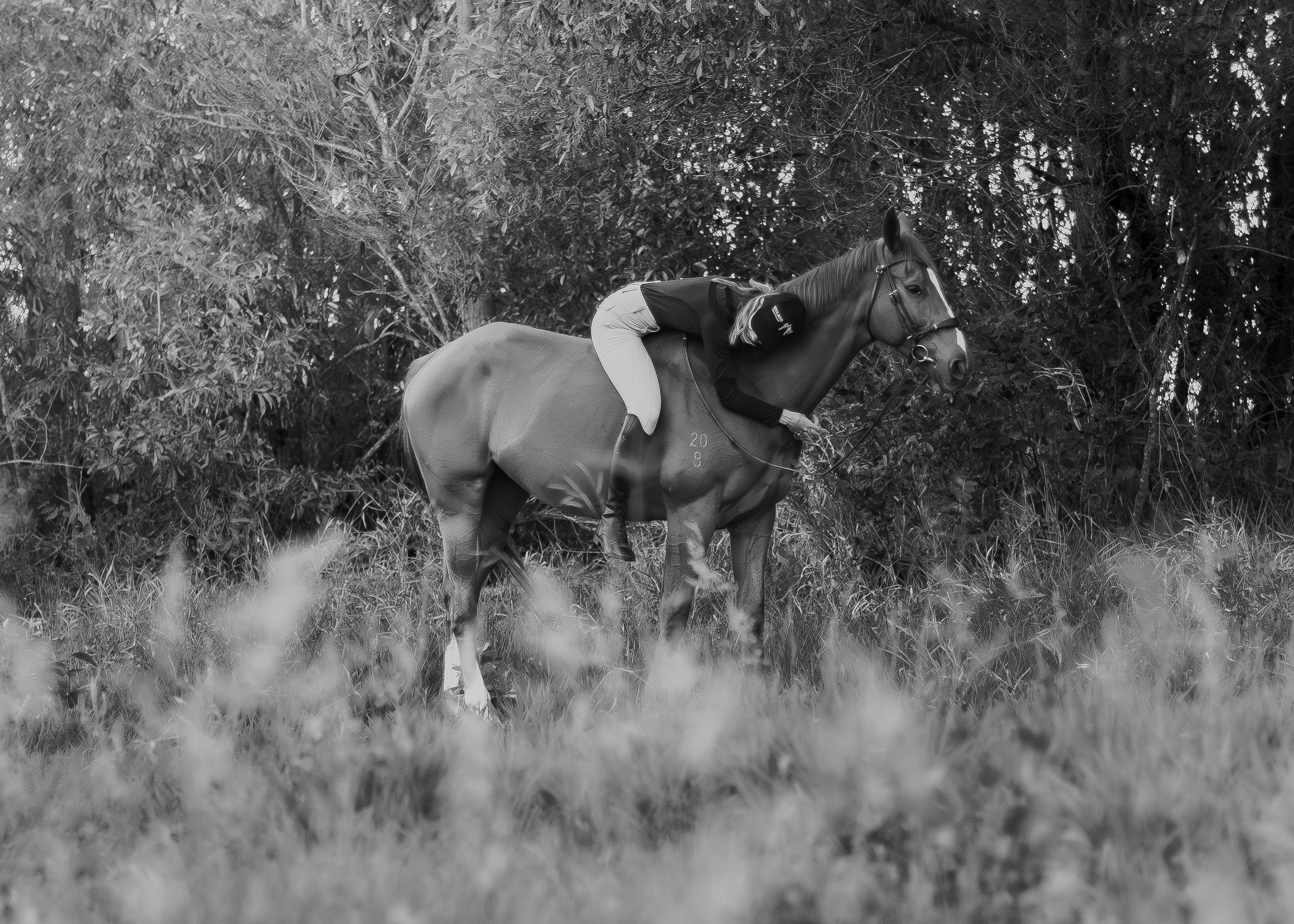 Person riding a horse in a natural setting with trees and grass.