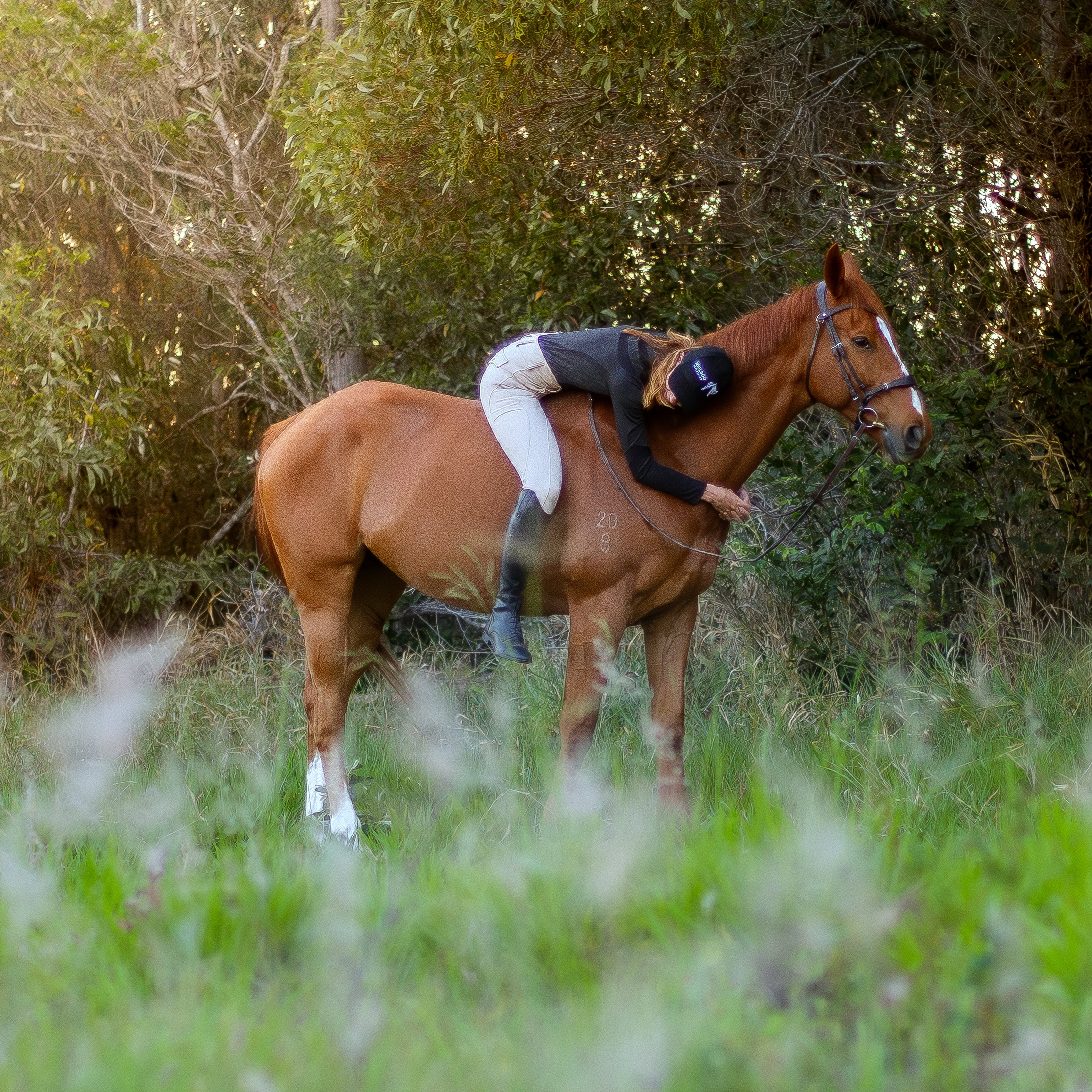 The Valentina Breeches